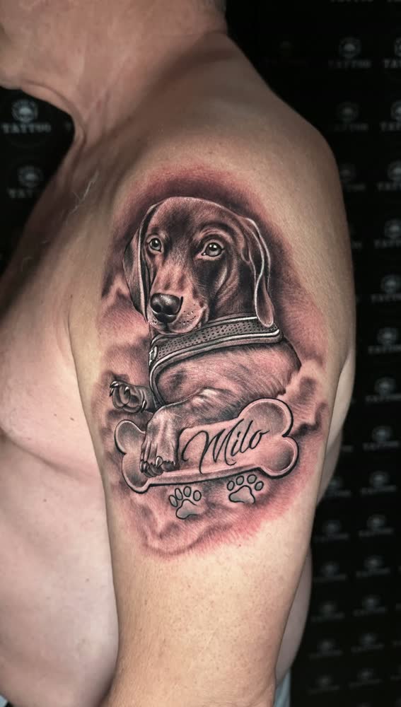 Retrato de perro tatuado en el brazo